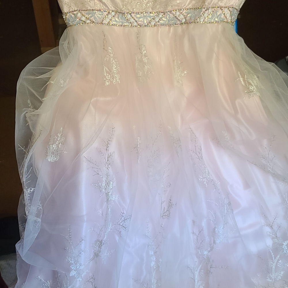 Pink Prom Dress - Picture 5 of 9